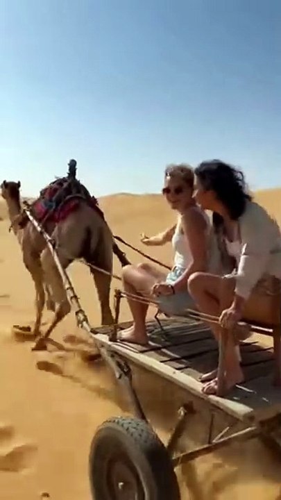 Camel Didn’t Like That 😭🐪  Funniest Desert Ride Ever