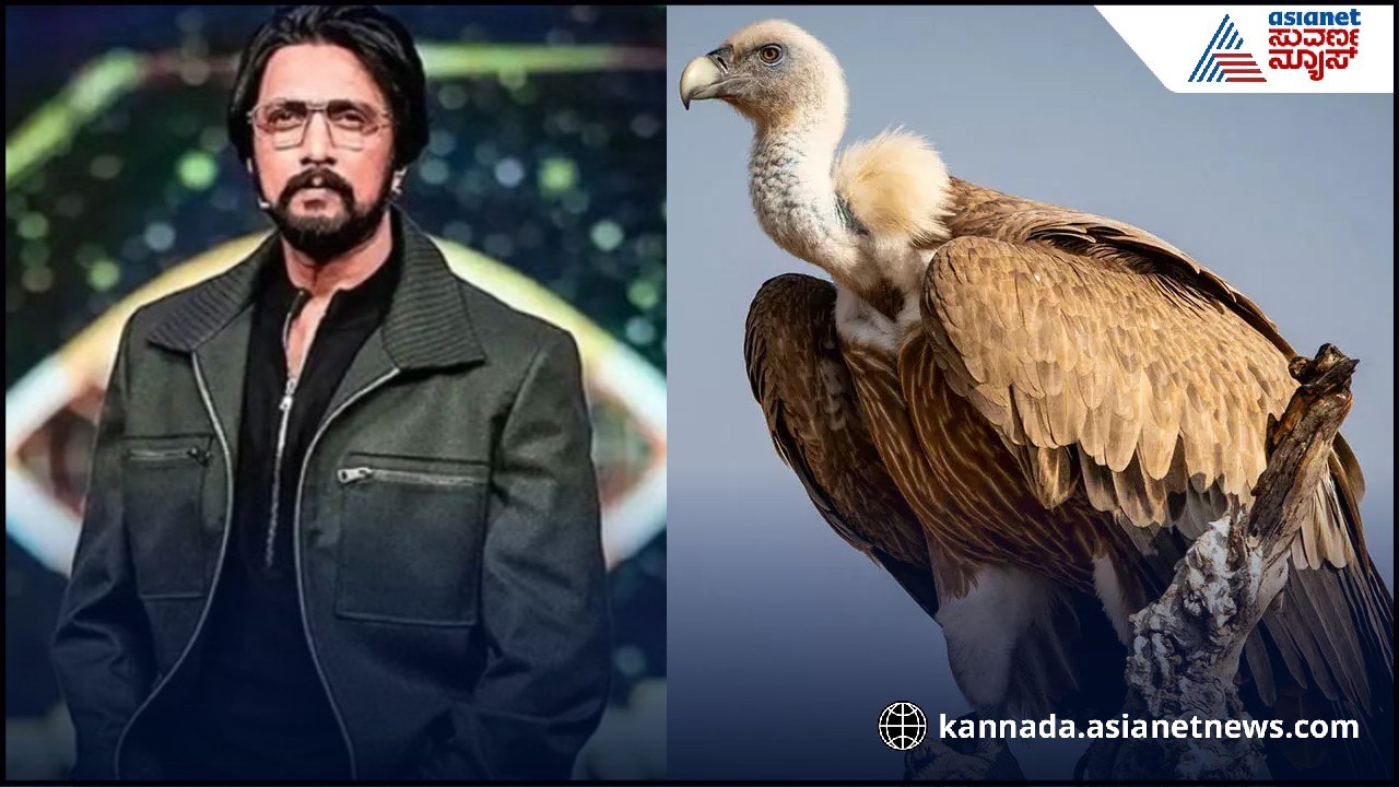 ಕಿಚ್ಚನ ಬೆನ್ನುಬಿಡದ ವಿವಾದ..ಫಿನಾಲೆಗೆ ರಣಹದ್ದು..? ಫಿನಾಲೆಯಲ್ಲಿ ಸ್ಪಷ್ಟನೆ ಕೊಡ್ತಾರಾ ಕಿಚ್ಚ ಸುದೀಪ್..?