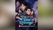 A Draw of Lies A Deal of Revenge Full Movies