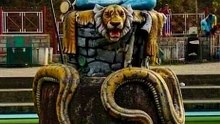 Tiger Pe Baitha Mahadev... Power Overloaded! 💪🐅