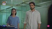 Meri Zindagi Hai Tu Episode 22 | Digitally Presented by Master Paints , Sunsilk , TapTap Send, Nestle Nido & Vince | Hania Aamir | Bilal Abbas Khan | ARY Digital Drama