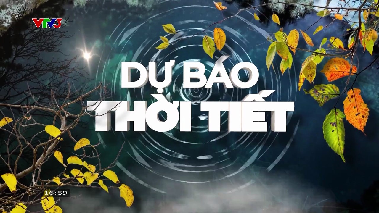 Thời tiết VTV3 3-1-2016 - VTVgo