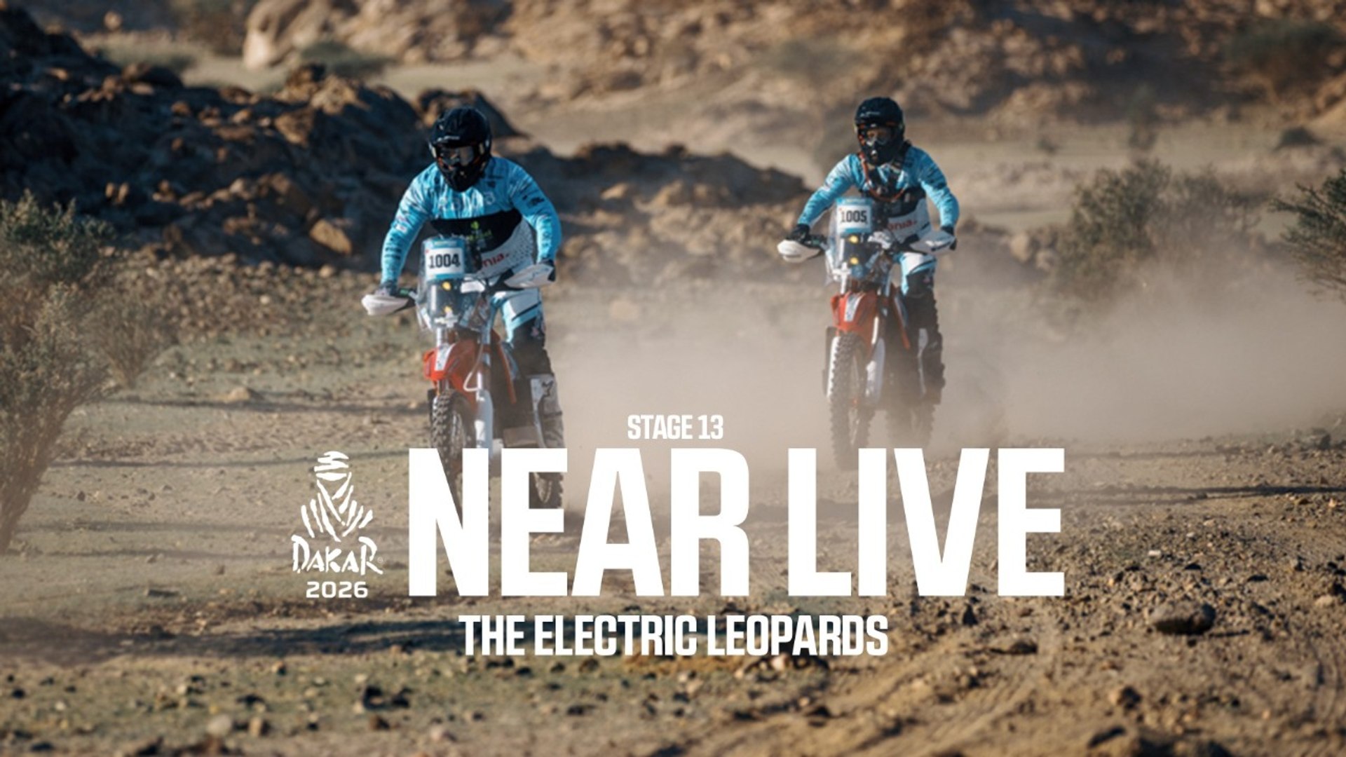 ⁣The Electric Leopards