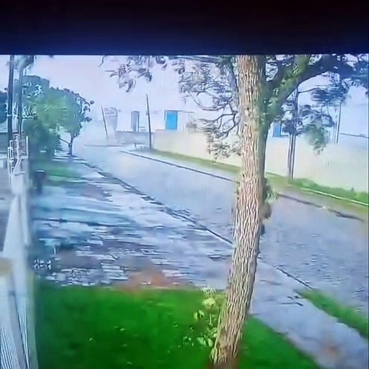 Jovem se agarra a árvore durante tornado no PR com ventos de 180 kmh