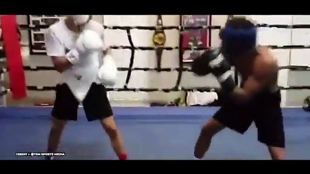 “HE GOT KO'D!” Floyd Mayweather Exposes SHOCKING Details on Shakur Stevenson SPARRING Teofimo Lopez