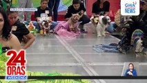 Pets in costumes sa Dinagyang “Pets-tival” sa Iloilo City | 24 Oras Weekend