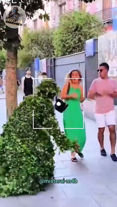 Fake tree prank 💐💐 funny videos