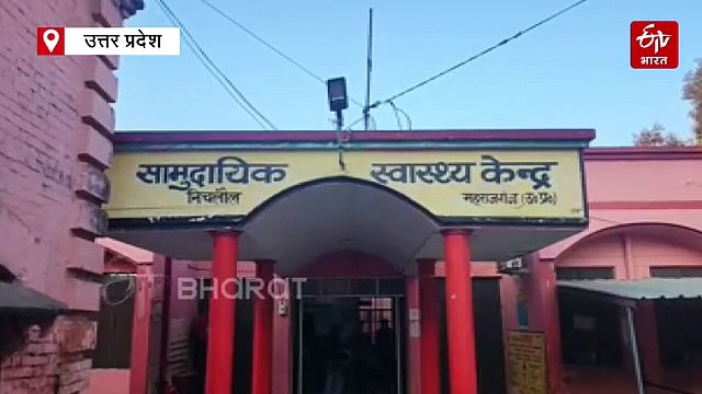 महराजगंज में तेंदुए के हमले में किशोरी की मौत; खेत में घात लगाए बैठा था, गर्दन पर किया हमला