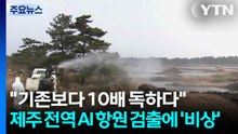 "기존보다 10배 독하다"...제주 전역 AI 항원 검출에 ’비상’ / YTN