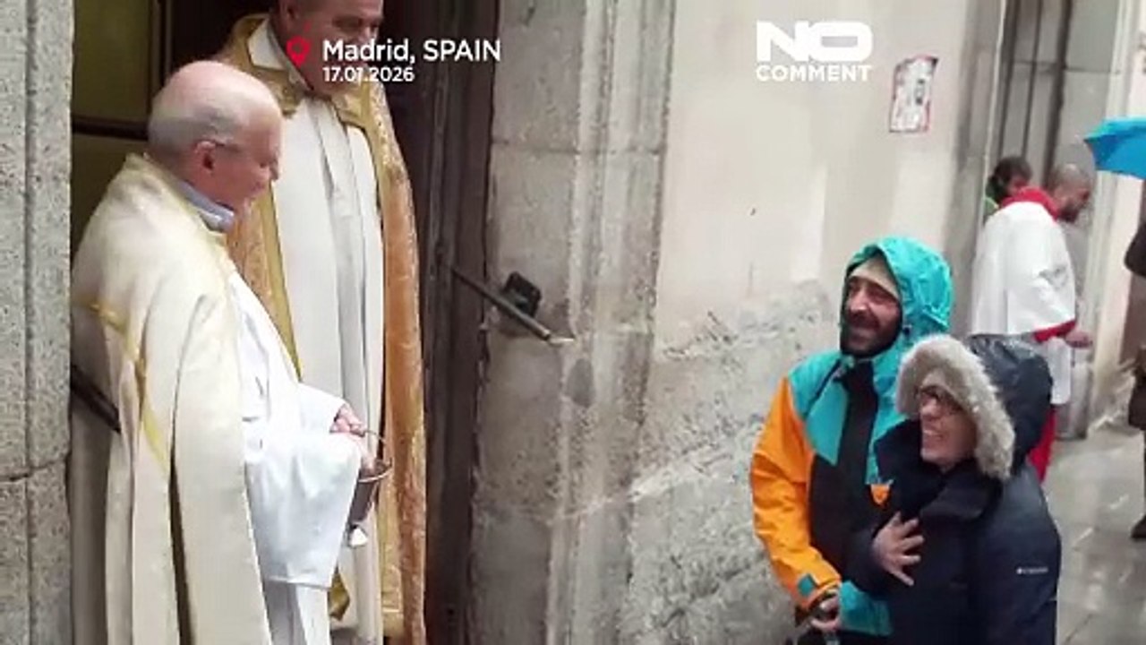 Weihwasser-segen für hunde und katzen in madrid