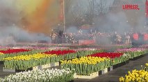 Museumplein ad Amsterdam invasa da migliaia di tulipani colorati: è la celebrazione della primavera