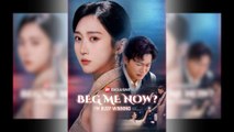 Beg Me Now? I'm Busy Winning Full Movie