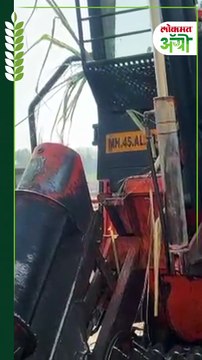 ऊस तोडणीच मशीन कसं काम करतं? दिवसभरात किती ऊस तोडला जातो?