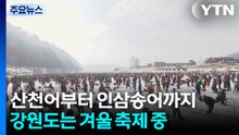 산천어부터 인삼송어까지...강원도는 겨울 축제 중 / YTN