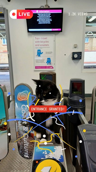 A cat greeting travellers at Thorpe Bay rail station in Essex