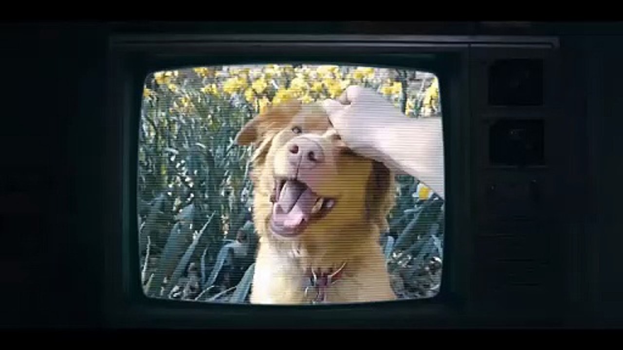 Good Boy – Trust His Instincts Trailer (2) OV