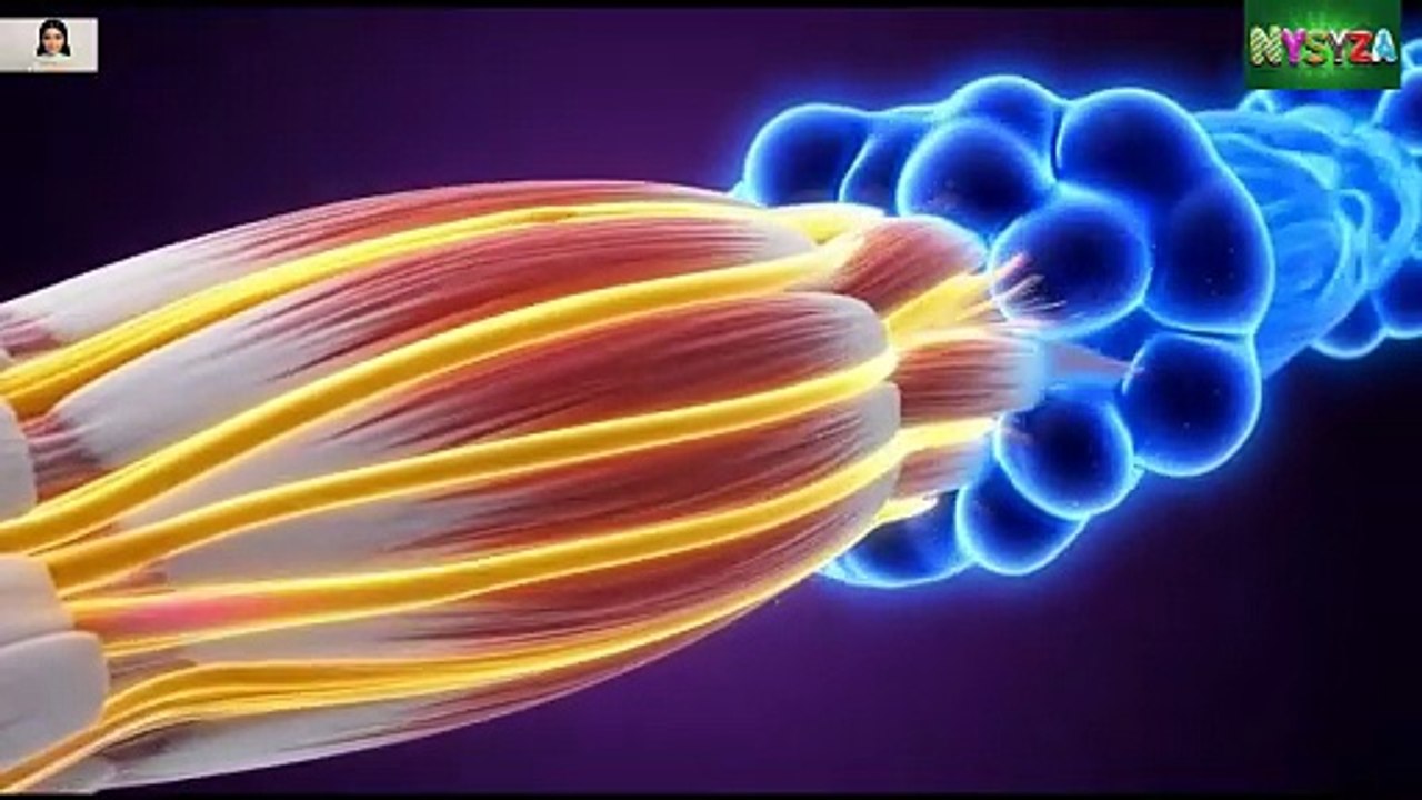 Beef Khane Ke Baad Body Ke Andar Kya Hota Hai? | Full 3D Medical Animation | Health Benefits & Dangers