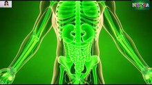 Broccoli Khane Se Pehle Ye Video Dekh Lein | Shocking 3D Medical Truth | Cancer Fighter ya Thyroid Killer