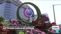 FOCUS JTA : “La Chine muscle son soft power en Afrique”