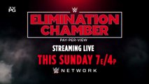 WWE Elimination Chamber 2019 - Streaming Live This Sunday on WWE Network