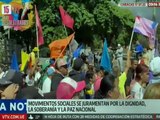 Movimientos sociales y organizaciones populares juran defender la patria ante el Panteón Nacional