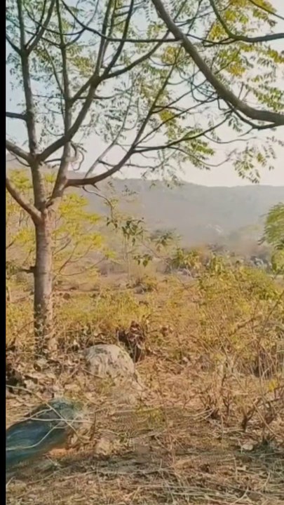 संदेशबसे आते है।