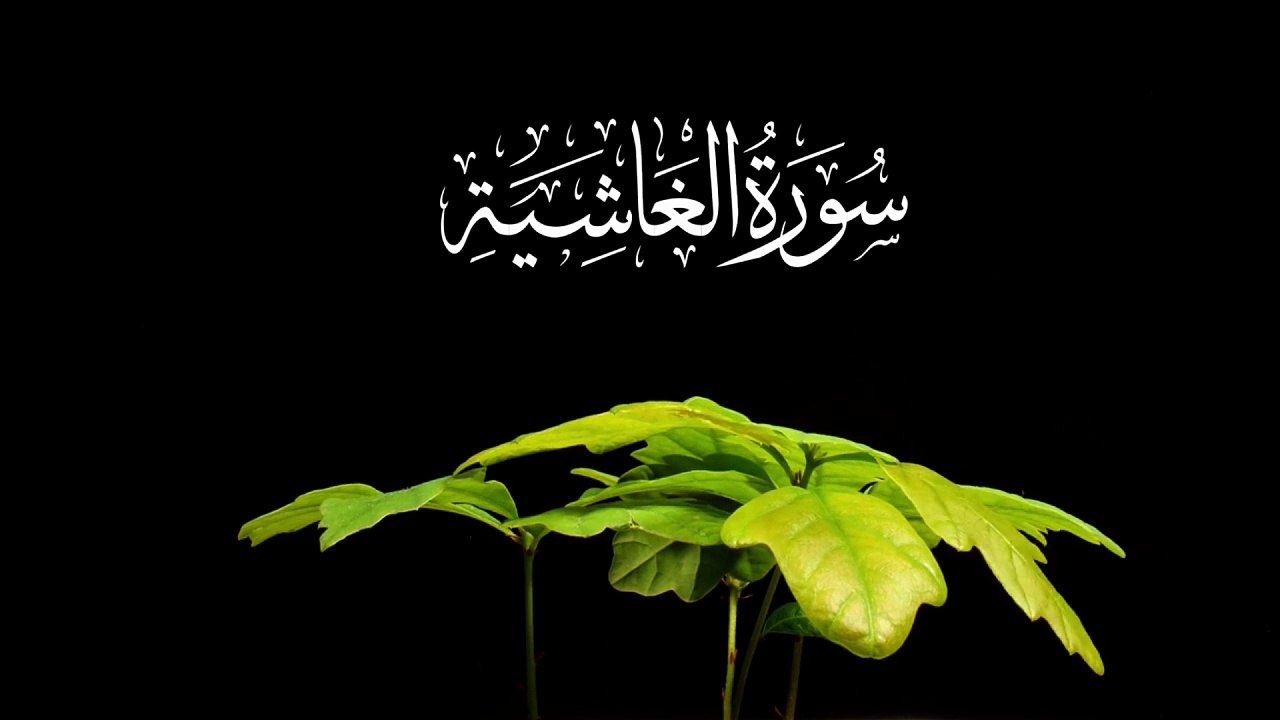 سورۃ الغاشیہ | Surah Al-Ghashiyah | دل کو ہلا دینے والی قرآن کی سورت | Beautiful  Quran Studio Recitation Abbasi