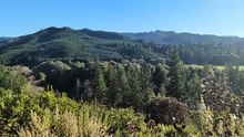 looking at the valley East of Myrtle point