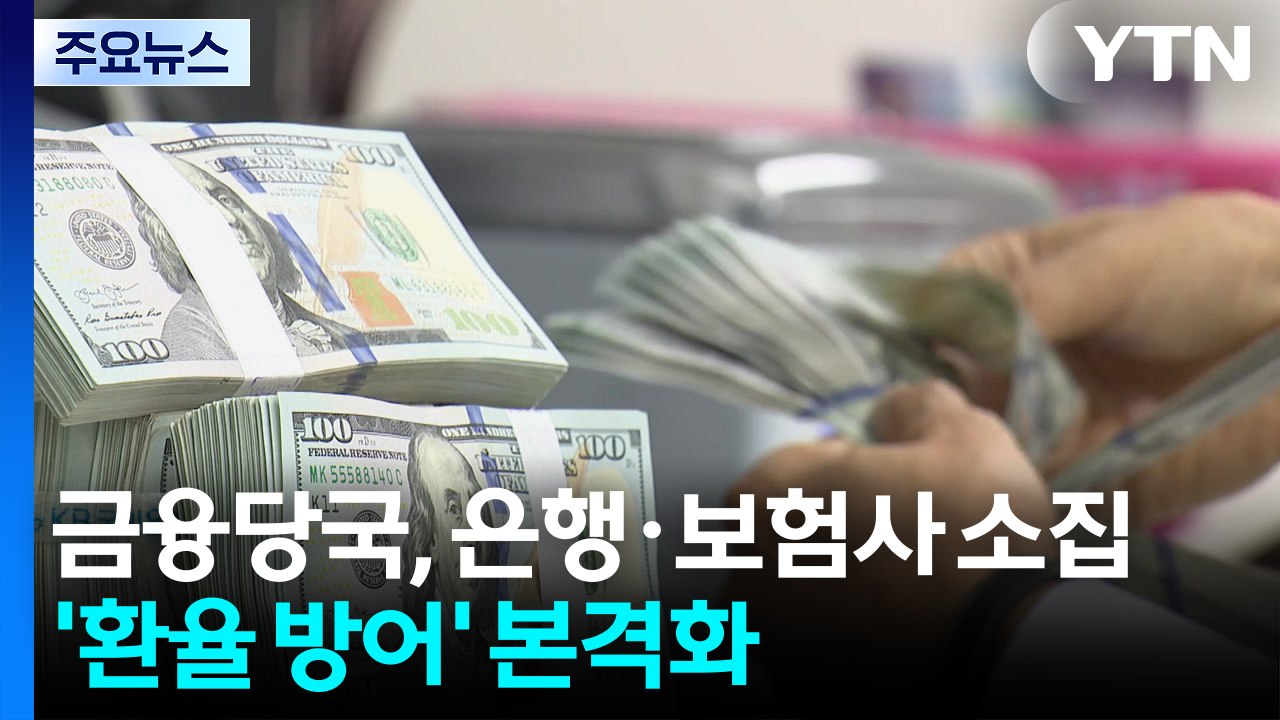 금융당국 ’환율 방어’ 본격화...IMF "한국, 환율충격 취약" / YTN