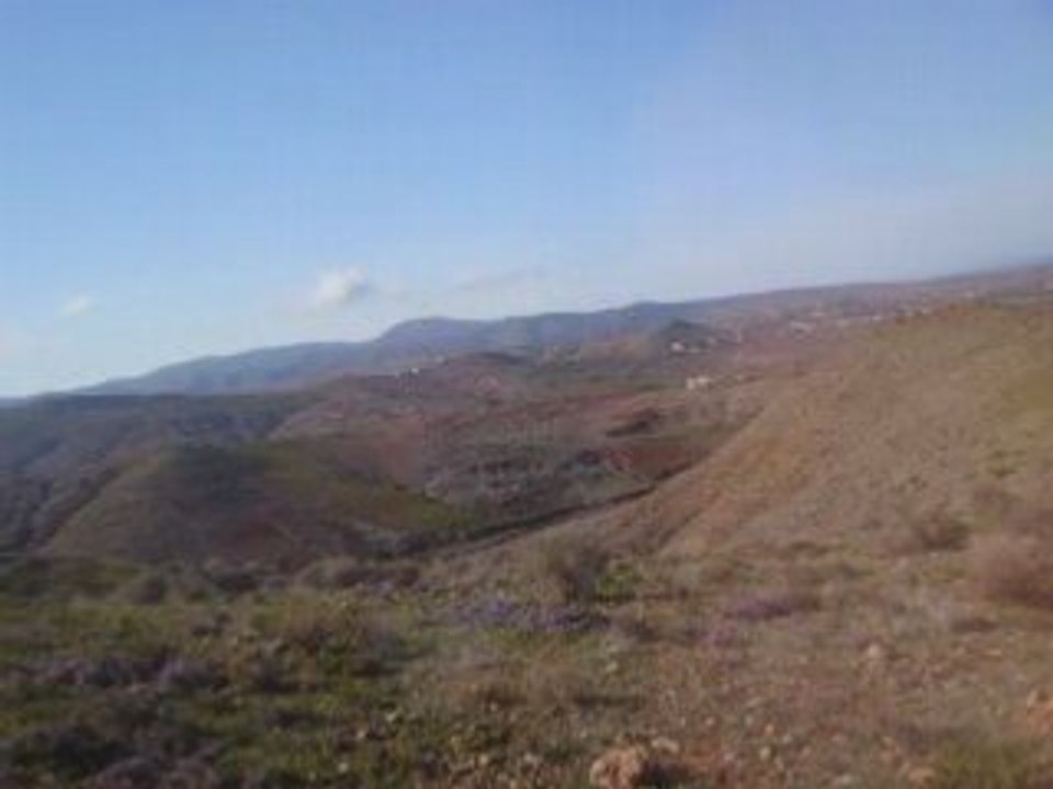 rifain