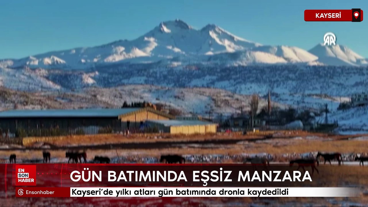 Kayseri’de yılkı atları gün batımında dronla kaydedildi