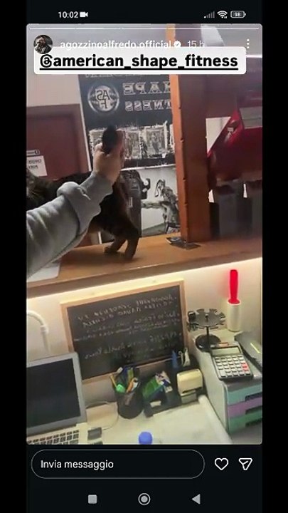 Agozzino Alfredo con i suoi amici gatti