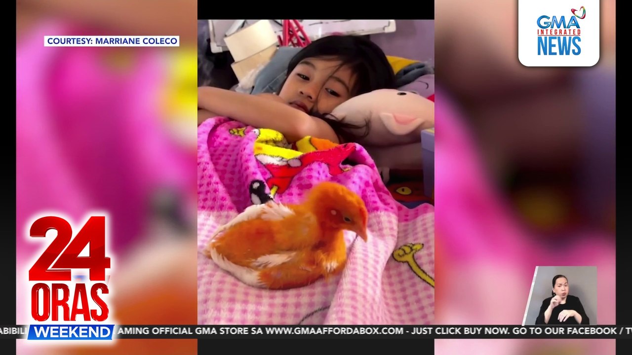 Alagang aso na marunong magbukas ng gate, kinaaliwan | 24 Oras Weekend