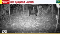 പാലക്കാട് വനം വകുപ്പ് സ്ഥാപിച്ച കൂട്ടിൽ കുടുങ്ങിയ പുലിയുടെ ദൃശ്യങ്ങൾ പുറത്ത്