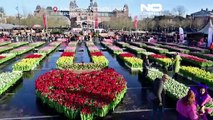 Dutch National Tulip Day: 200,000 tulips handed out in Amsterdam