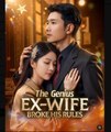 The Genius Ex-Wife Broke His Rules - Full Movies English Sub