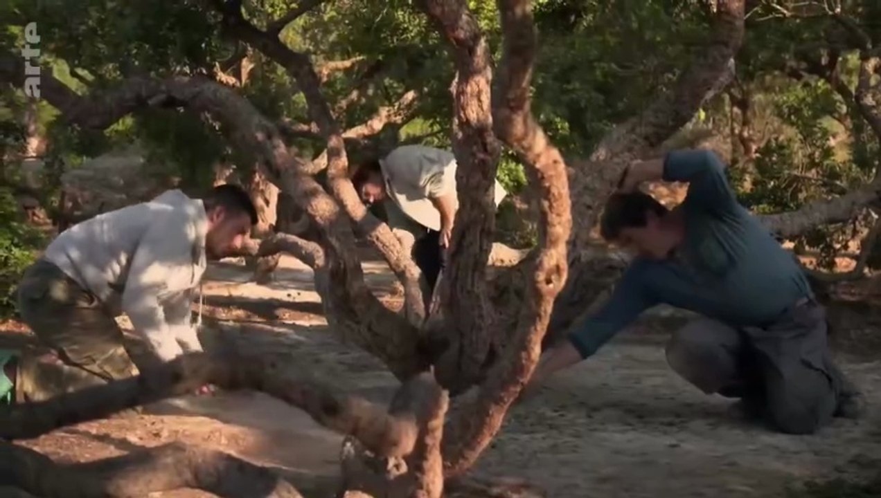 Cuisines des terroirs - Ile de Chios Grèce