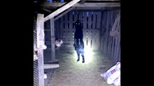 TOP 5 Videos De Fantasmas y Actividad Paranormal Que Nunca Has Visto