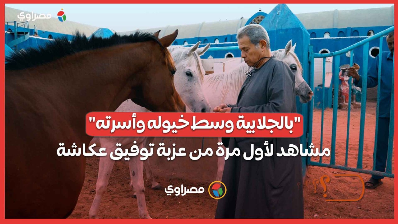 "بالجلابية وسط خيوله وأسرته".. مشاهد لأول مرة داخل عزبة توفيق عكاشة من كواليس حلقته مع مجدي الجلاد