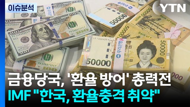 [스타트 경제] 금융당국, '환율 방어' 총력전...IMF 한국, 환율충격 취약 / YTN