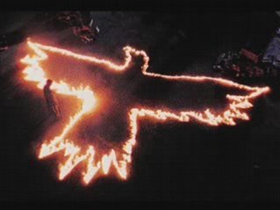 the crow