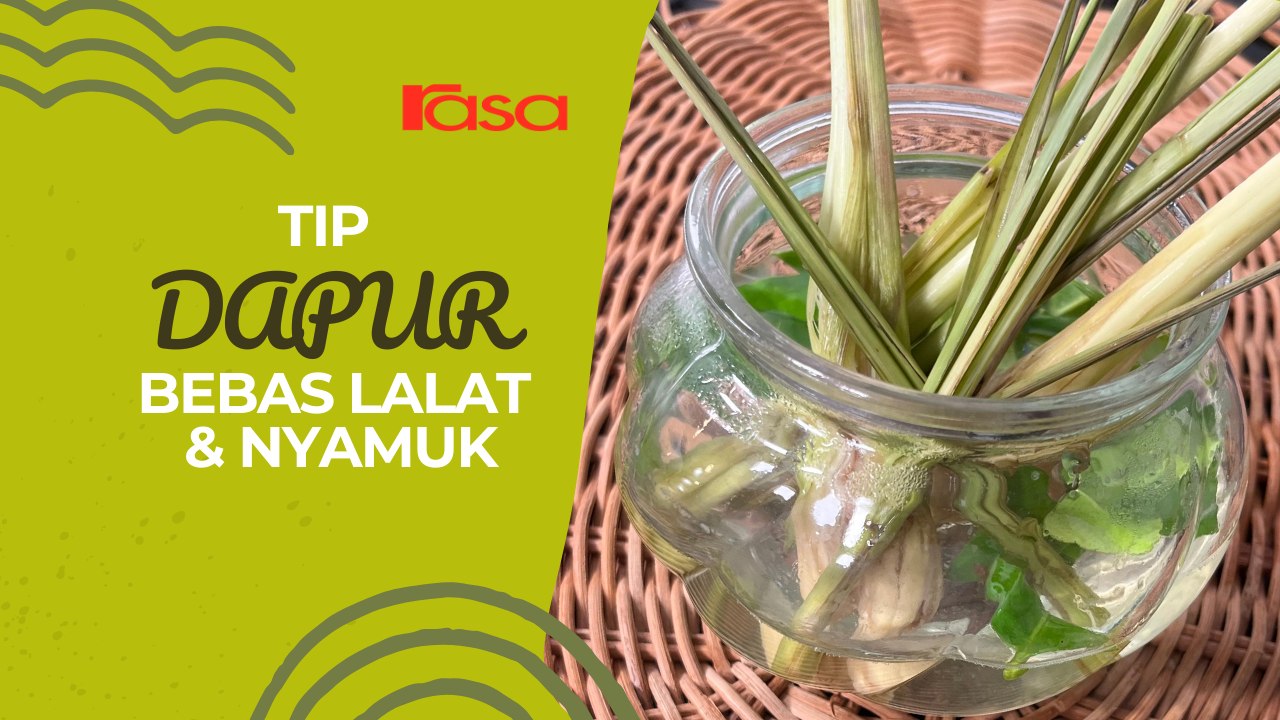Tip Dapur Bebas Lalat & Nyamuk