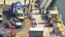 Boy in critical condition after being bitten by a shark in Sydney Harbour