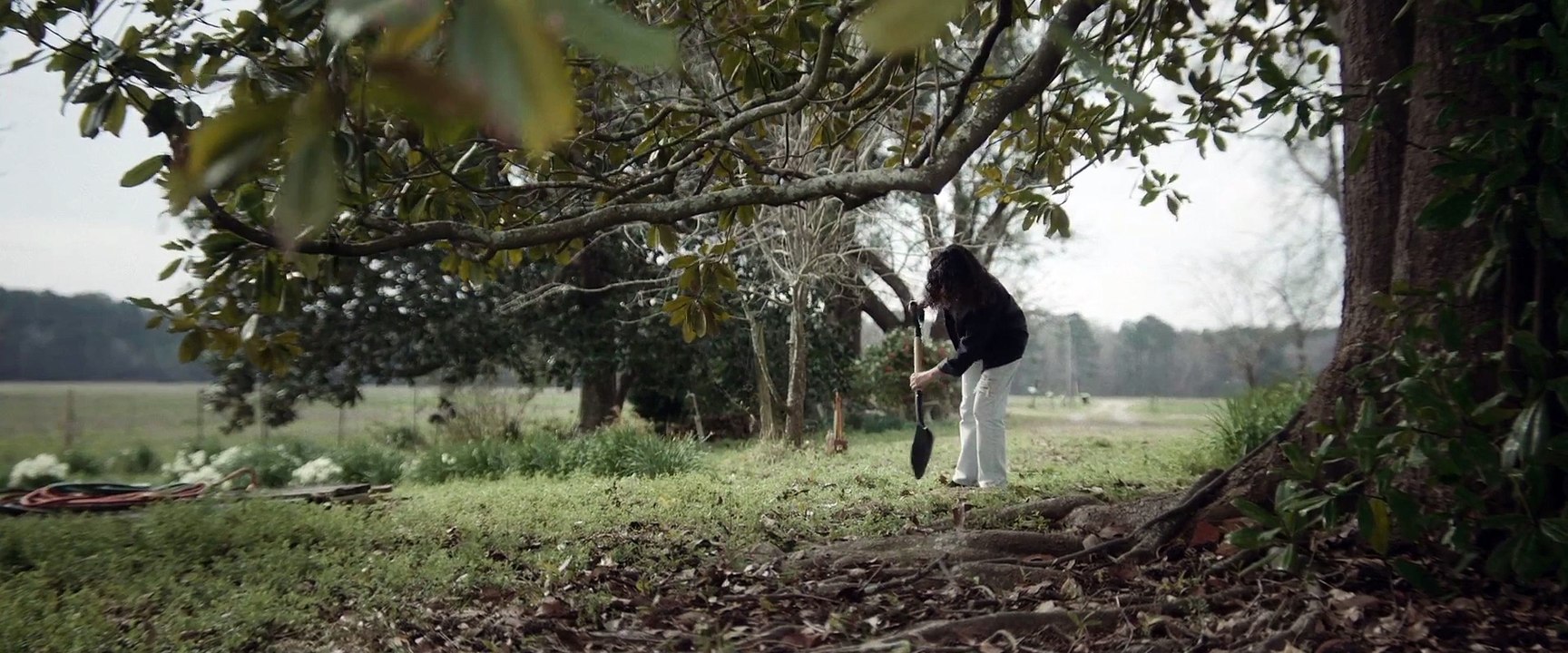 Horror Movie "The Omro Heist "