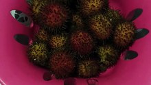 buah Rambutan