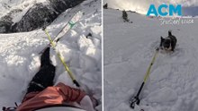 Terrifying moment skier and her dog get caught in sudden avalanche