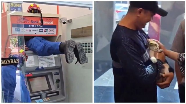 Intrappolato dietro un bancomat: il salvataggio sorprendente di un gatto che ha tenuto tutti col fiato sospeso