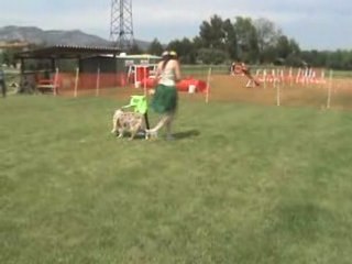 Aubagne 10 MAI 08 Oberythmee Tailee