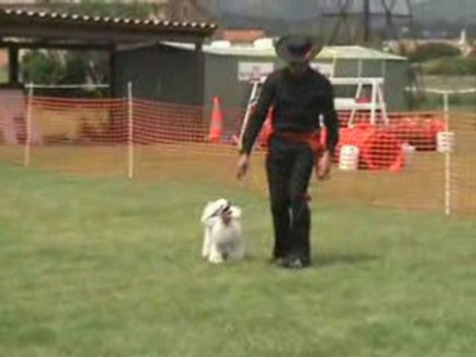 Aubagne 10 MAI 08 Oberythmee René