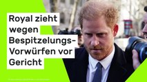 Prinz Harry: Royal zieht wegen Bespitzelungs-Vorwürfen erneut vor Gericht